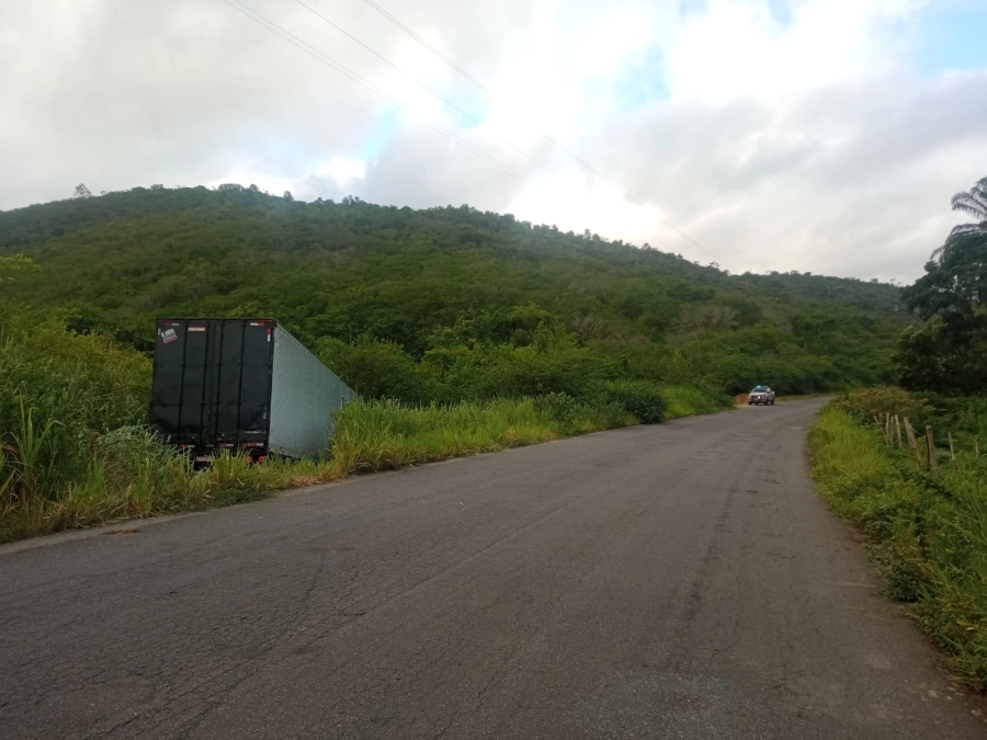 Caminhão sai da pista após motorista tentar desviar de animais na BA-547, em Jequié