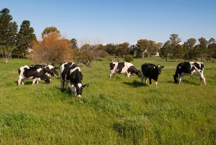 Sindicato dos Produtores Rurais de Jequié promove 2º Seminário Regional de Bovinocultura de Leite