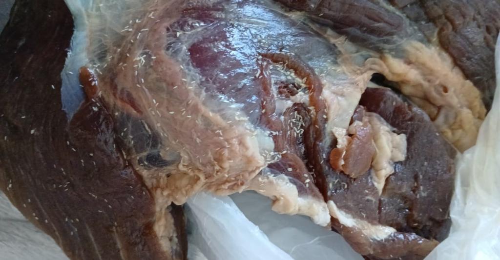 Fiscalização urgente: carnes vencidas e estragadas à venda em açougues de Jequié