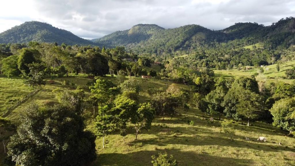 Homem de 20 anos é assassinado na zona rural de Jequié