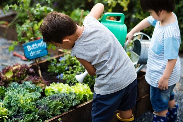 Pesquisa da Uesb propõe implantação de hortas escolares na Educação Básica