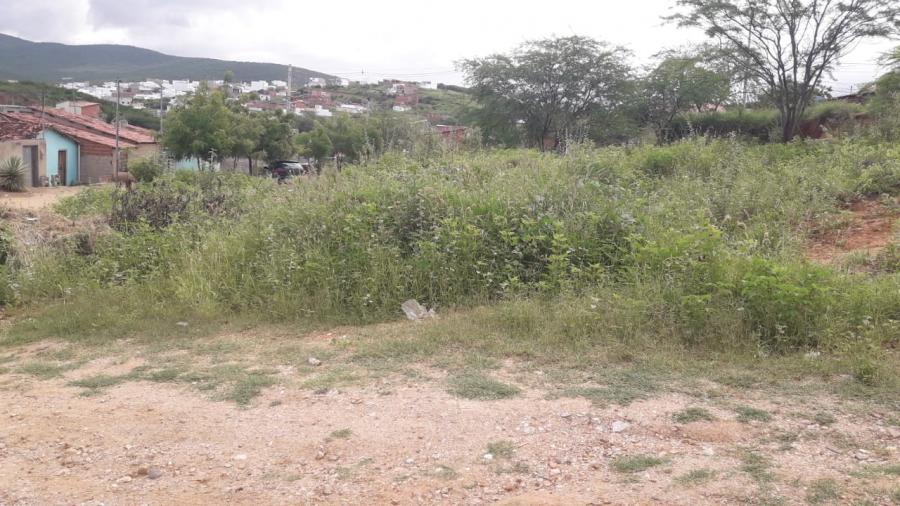 Moradores reclamam de matagal que tomou conta de rua no Pompílio Sampaio