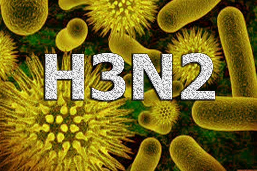 H3N2: novo vírus Influenza leva dezenas de pessoas para hospitais de Jequié