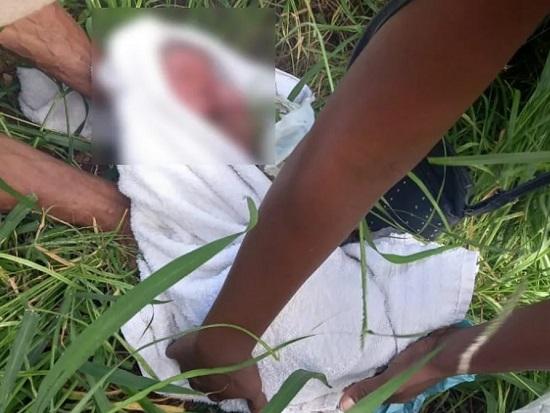 Mãe de recém-nascido encontrado em matagal em Milagres da BA é presa