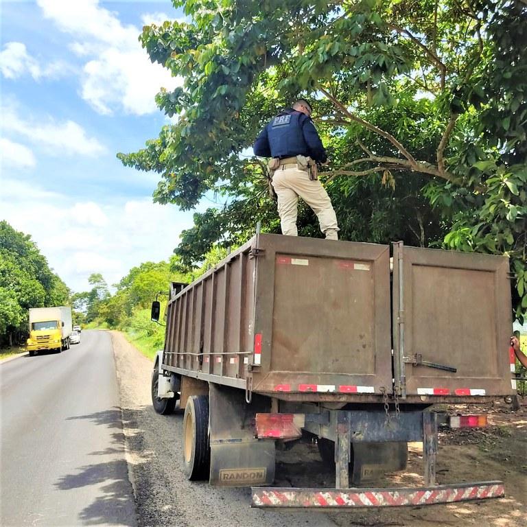 Jequié: PRF apreende carga de madeira transportada ilegalmente