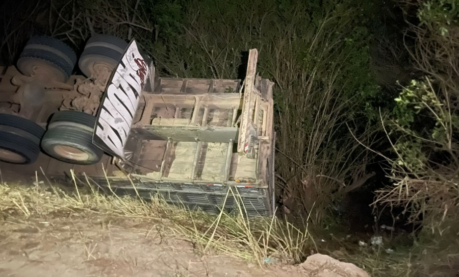 Caminhão carregado com gado tomba em rodovia de Jaguaquara