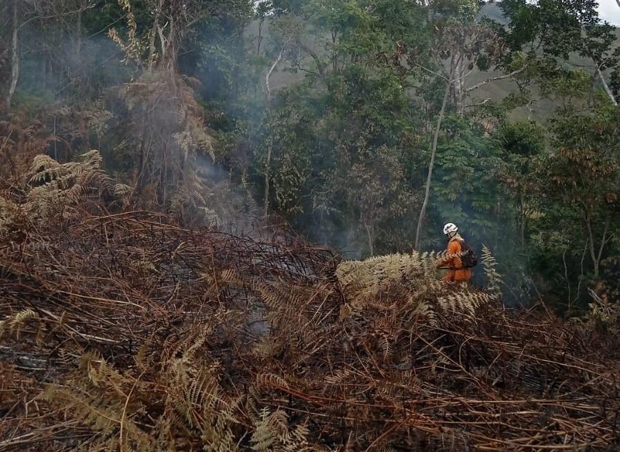 Cerca de 147 hectares foram atingidas pelo fogo em incêndio na zona rural de Jequié