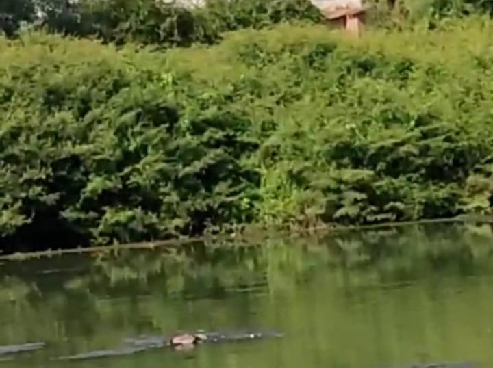 Dois corpos são localizados no Rio das Contas em Jequié