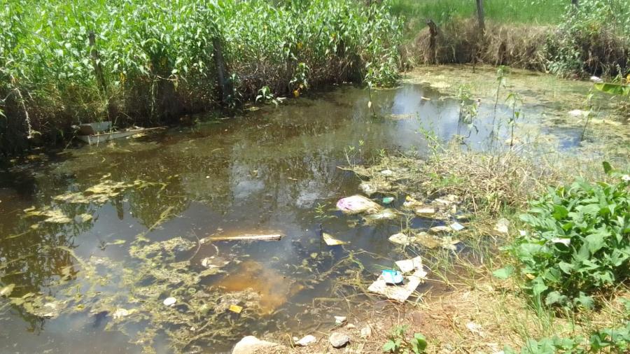 Jequiè: Lagoa se transforma em foco do mosquito Aedes aegypti e assusta moradores de Boaçu