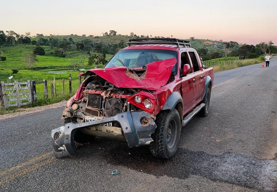 Carro atropela e mata duas vacas na BA-650 trecho de Ipiaú a Itagibá
