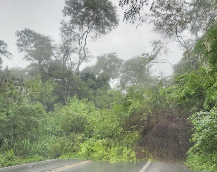URGENTE: Queda de barreira e árvore provoca interdição na BR-330, trecho Jequié e Jitaúna