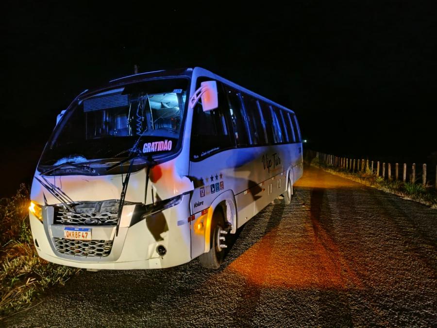 Micro-ônibus se envolve em acidente com animais na BA-650 entre Itagibá e Ipiaú
