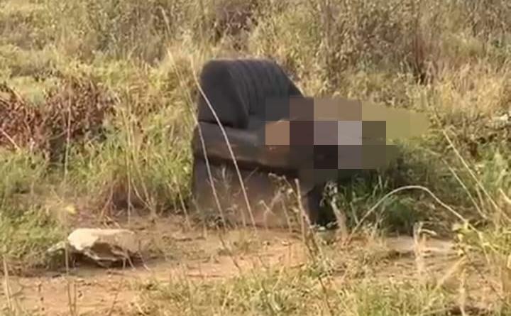 Corpo é encontrado com mãos amarradas e perfurações de tiros no Bairro Santa Luz em Jequié