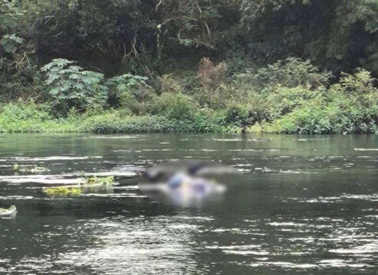 Polícia investiga morte de mulher encontrada no Rio de Contas em Barra do Rocha